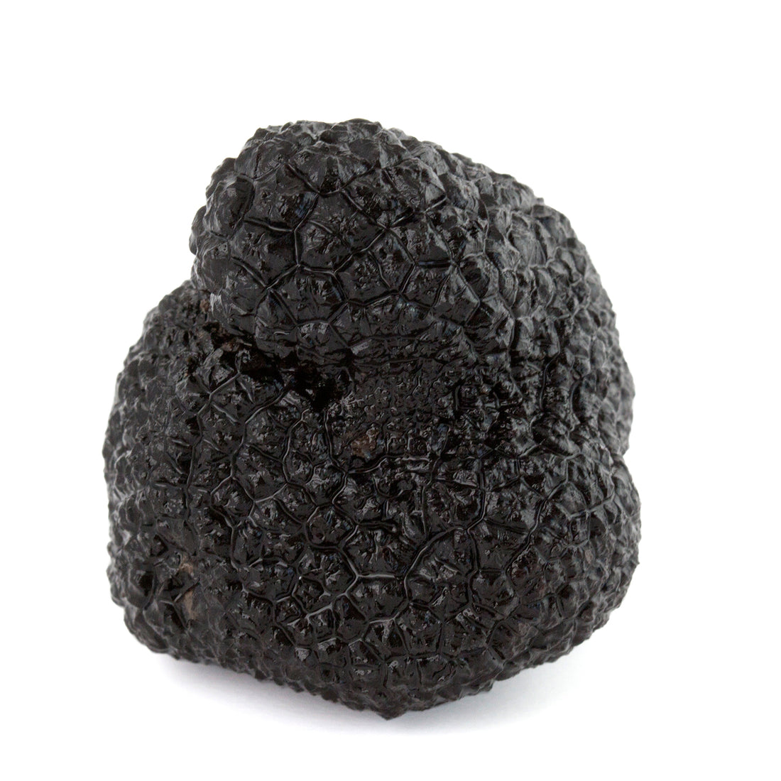 Trufa Negra Melanosporum - Conserva